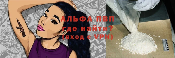индика Балабаново