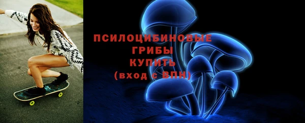 индика Балабаново