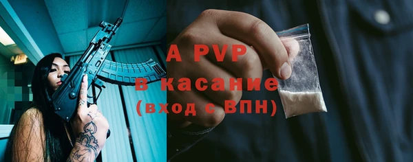 индика Балабаново