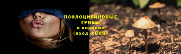 индика Балабаново