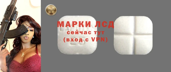 индика Балабаново