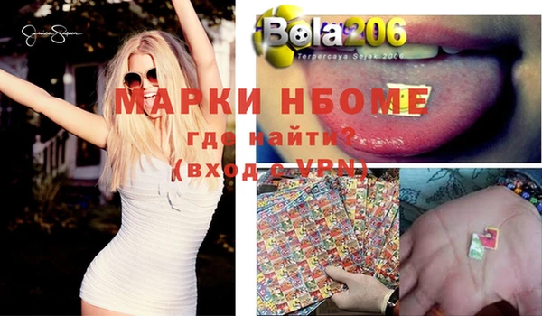 мяу мяу мука Баксан