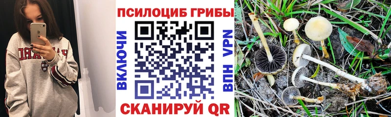 ОМГ ОМГ маркетплейс  Луховицы  Галлюциногенные грибы мухоморы 